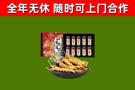 石峰区烟酒回收冬虫夏草礼盒.jpg